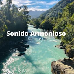 Sonido Armonioso Del Río - Relajacion