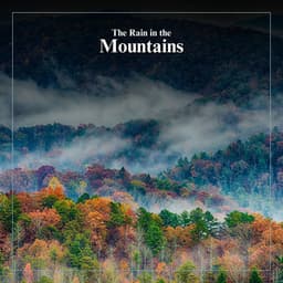 The Rain in the Mountains - Rainfall Place