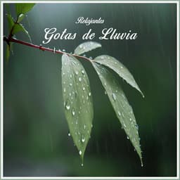 Gotas de Lluvia Relajantes - Sonido de lluvia