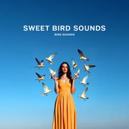 Sweet Bird Sounds - Bird Sounds