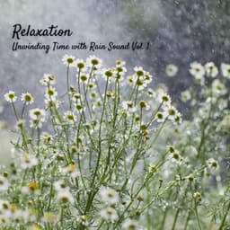 Relaxation: Unwinding Time with Rain Sound Vol. 1 - Dog Relax
