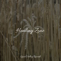 Healing Zone - Studying Music