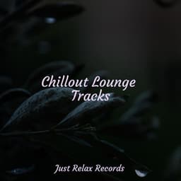 Chillout Lounge Tracks - Sleep Music Lullabies