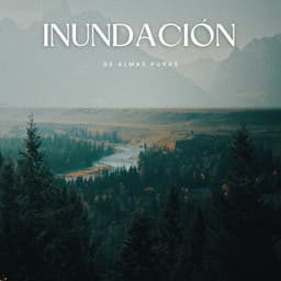 Inundación De Almas Puras - Sonidos de aguas tranquilas