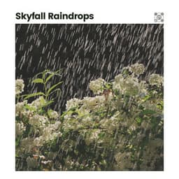 Skyfall Raindrops - Rainfall Place