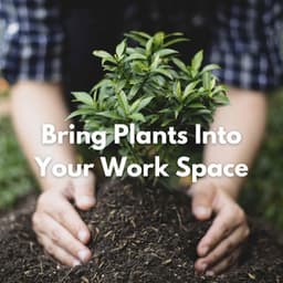 Bring Plants Into Your Work Space - Breakfast Jazz Playlist