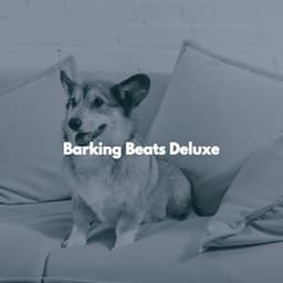 Barking Beats Deluxe - Study Music Deluxe