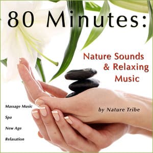 80 Minutes: Nature Sounds & Relaxing Music - Nature Tribe