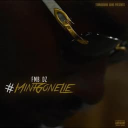 I Ain't Gone Lie - FMB DZ