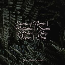 Sounds of Nature | Meditation | Sounds of Nature | Sleep Music | Sleep - Drowsy Cloud