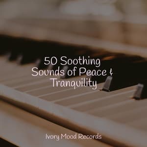 50 Soothing Sounds of Peace & Tranquility - Ivory Mood