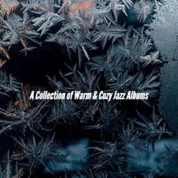 A Collection of Warm & Cozy Jazz Albums - New York Deluxe Dinner Jazz