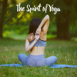 The Spirit of Yoga - Relaxation And Meditation