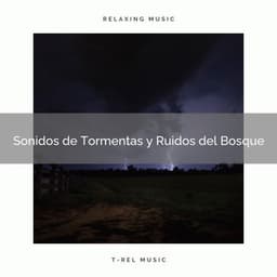 2021 Sonidos de Tormentas y Ruidos del Bosque - Academia de Música con Sonidos de la Naturaleza