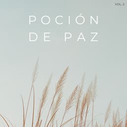 Poción De Paz Vol. 2 - PAZ