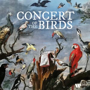Concert of the Birds - Wolfgang Amadeus Mozart