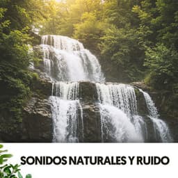 Sonidos Naturales y Ruido: Serenatas Naturales - Relajacion
