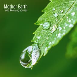 Mother Earth and Relaxing Sounds for Meditation and Stress Relief - Relaxing Nature Sounds Collection
