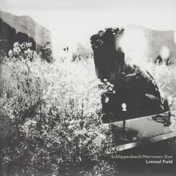 Liminal Field - Alexander von Schlippenbach