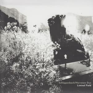 Liminal Field - Alexander von Schlippenbach