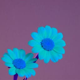 Outstanding Trio Jazz - Background for Supportive Hours - Chill Jazz