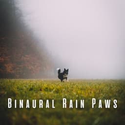 Binaural Rain Paws: Theta Waves for Tranquil Dogs - Rain & Thunder