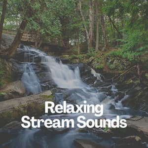 Relaxing Stream Sounds - Forest Soundscapes