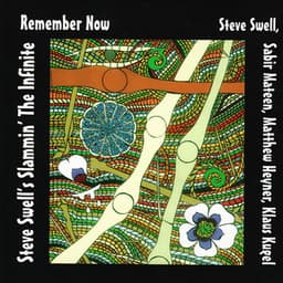 Remember Now - Steve Swell