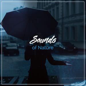 17 Sounds Recorded from Nature Natural and High Quality - Rain Sound Studio