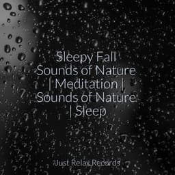 Sleepy Fall Sounds of Nature | Meditation | Sounds of Nature | Sleep - ASMR HD