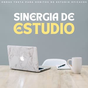 Sinergia De Estudio: Ondas Theta Para Hábitos De Estudio Eficaces - Estudio Ondas Alfa