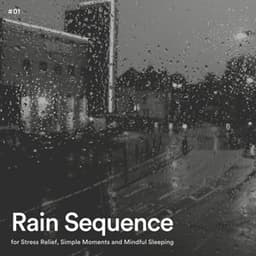 #01 Rain Sequence for Stress Relief, Simple Moments and Mindful Sleeping - Rain Radiance