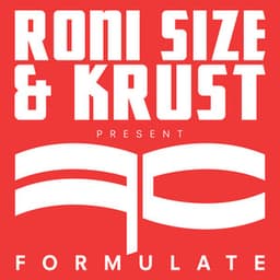 Formulate - Roni Size
