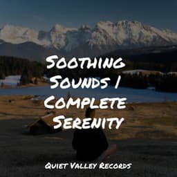 Soothing Sounds | Complete Serenity - Yoga Sounds