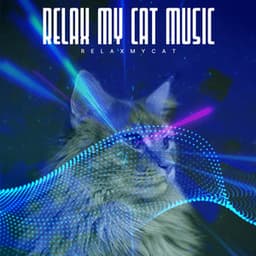 Relax My Cat Music - RelaxMyCat