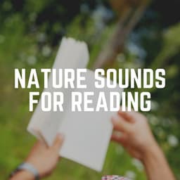 Nature Sounds for Reading - Cricket Sounds