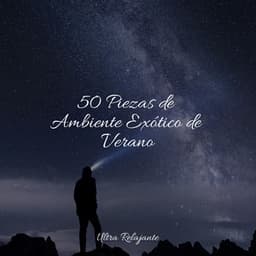 50 Piezas de Ambiente Exótico de Verano - Música ambiental relajante