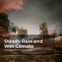 Steady Rain and Wet Climate - Rain Sounds & White Noise