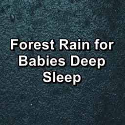 Forest Rain for Babies Deep Sleep - Thunder Storms