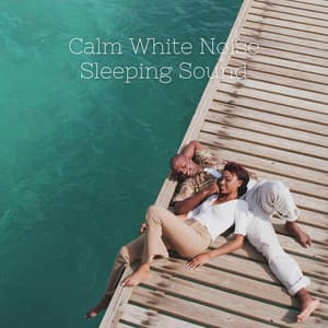 Calm White Noise Sleeping Sound - White Noise Lullabies