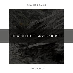 Black Friday's Noise - White Noise - Baby Sleep Specialists