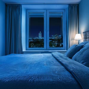 Ritmos Lofi Relajantes Para La Calma Nocturna - LoFi por naturaleza