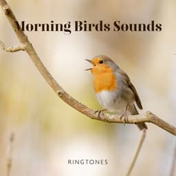 Morning Birds Sounds: Ringtones – Music for Relaxation, Meditation, Yoga , Naturescapes, Forest Ambience and Spa - Calm Singing Birds Zone
