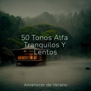 50 Tonos Alfa Tranquilos Y Lentos - Sonido Del Bosque y Naturaleza