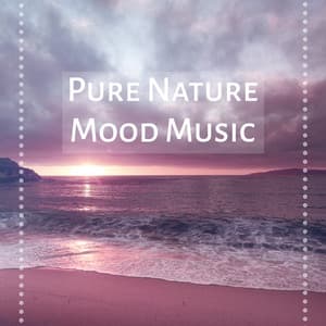 Pure Nature Mood Music – Pure Music for Relaxation, Ultimate Instrumental New Age Music, Power of Serenity - Relaxing Sounds Of Nature