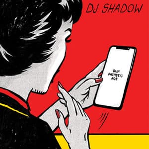 Our Pathetic Age - DJ Shadow