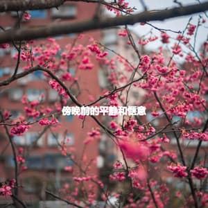 傍晚前的平静和惬意 - Cool Jazz Relaxation Radio