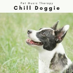 2 0 2 2 Chill Doggie - Pet Music Therapy