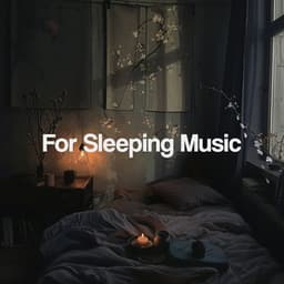 For Sleeping Music - Sleep Music