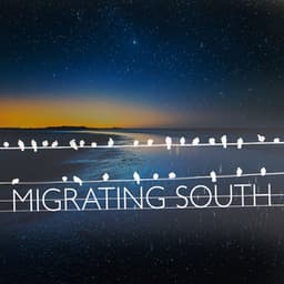 Migrating South - Bird Songs